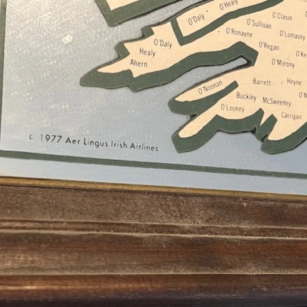 Vintage - RARE Framed Bailey's Irish Name Mirror Map featuring Irish names